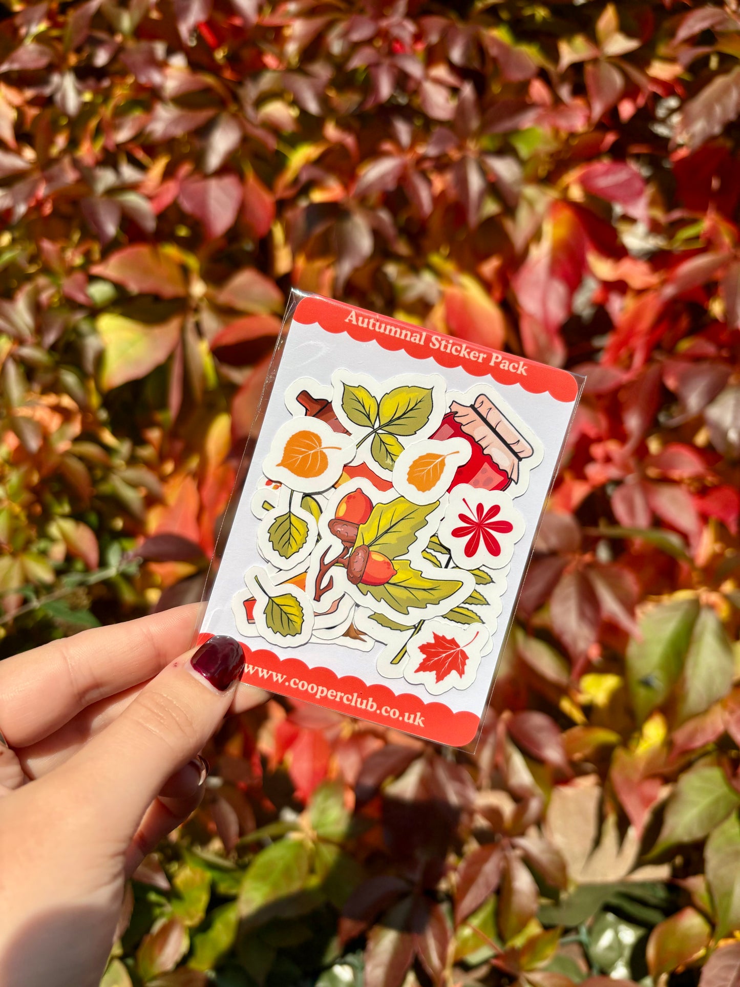 Autumn Stickers Pack - 15 Stickers
