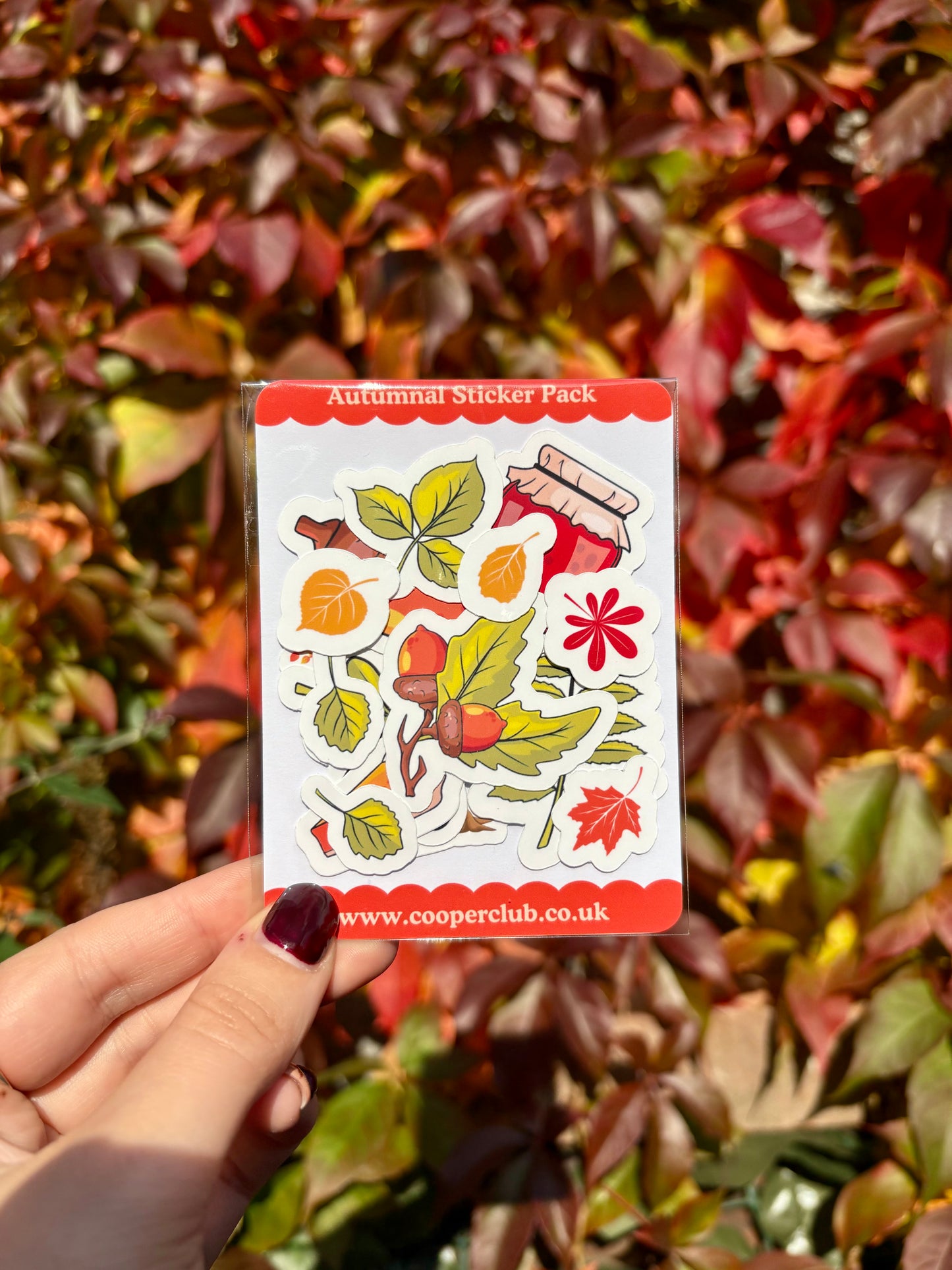 Autumn Stickers Pack - 15 Stickers